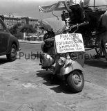 P_000555&nbsp;-&nbsp;S.&nbsp;Margherita&nbsp;Ligure&nbsp;1951