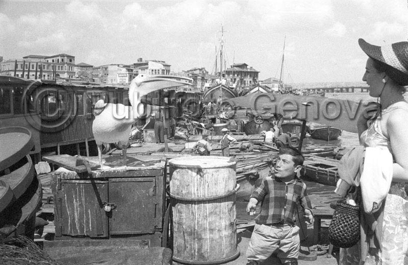 P_116952_ISTANBUL 1965
