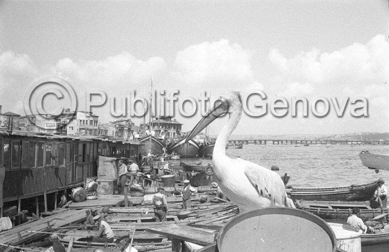 P_116953_ISTANBUL 1965