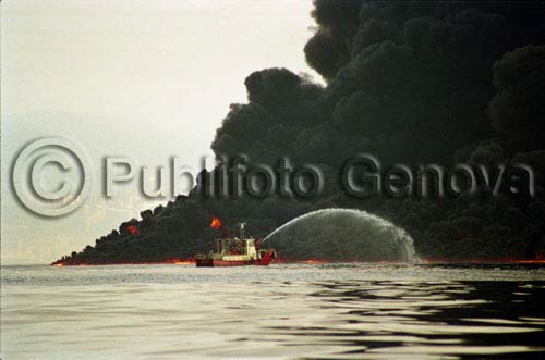 P_503341_Haven 1991
