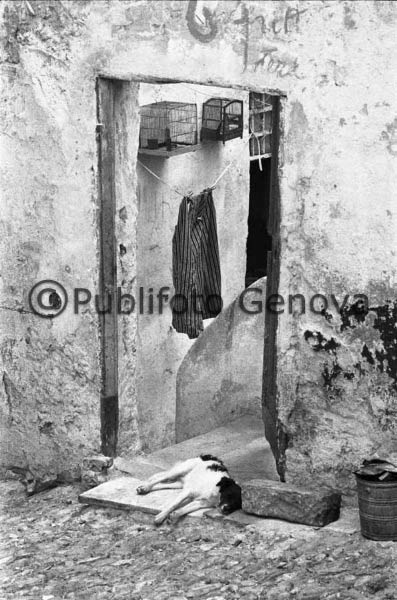 IL QUARTIERE DI BORGO LANAIOLI/VIA MADRE DI DIO
