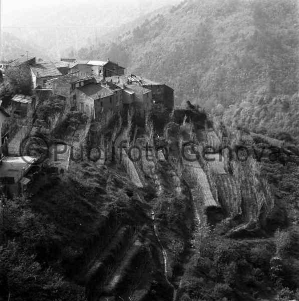 VEDUTA DI VEZZI PORTIO (SV), FRAZIONE SAN FILIPPO