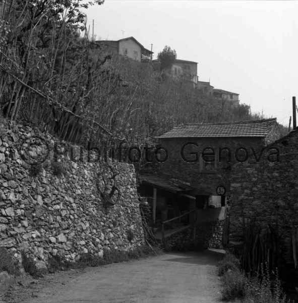 VEDUTA DI VEZZI PORTIO (SV), FRAZIONE SAN FILIPPO